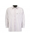 Chemise 100% coton Homme