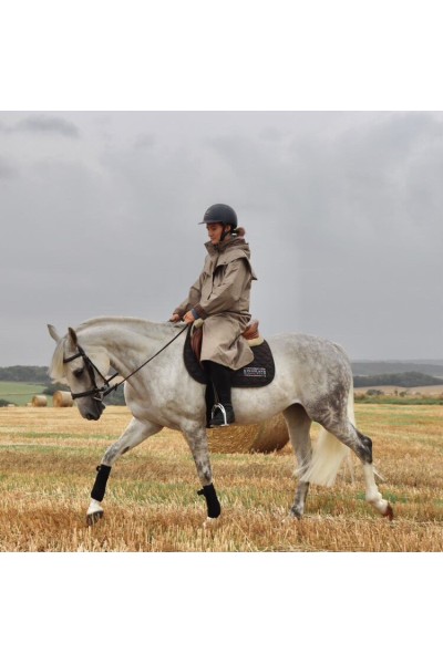 Imperméable Malvern beige