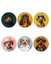 Coffret Cadeau – Ensemble de 6 Sous-verres en Vinyle | Motifs Chiens